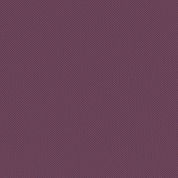 Велюр Blitz / Блитц