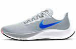 Кроссовки Nike Pegasus 37 37