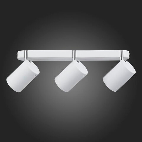 Спот ST Luce Fanale SL597.501.03