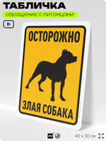 Табличка "Осторожно, злая собака" на дверь и забор, для двора, дома, подъезда, 40х30 см, Silver Plane x Айдентика Технолоджи
