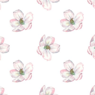 Floral seamless pattern for printing. Blooming apple tree.