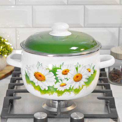Кастрюля 4л "Ромашки лето"