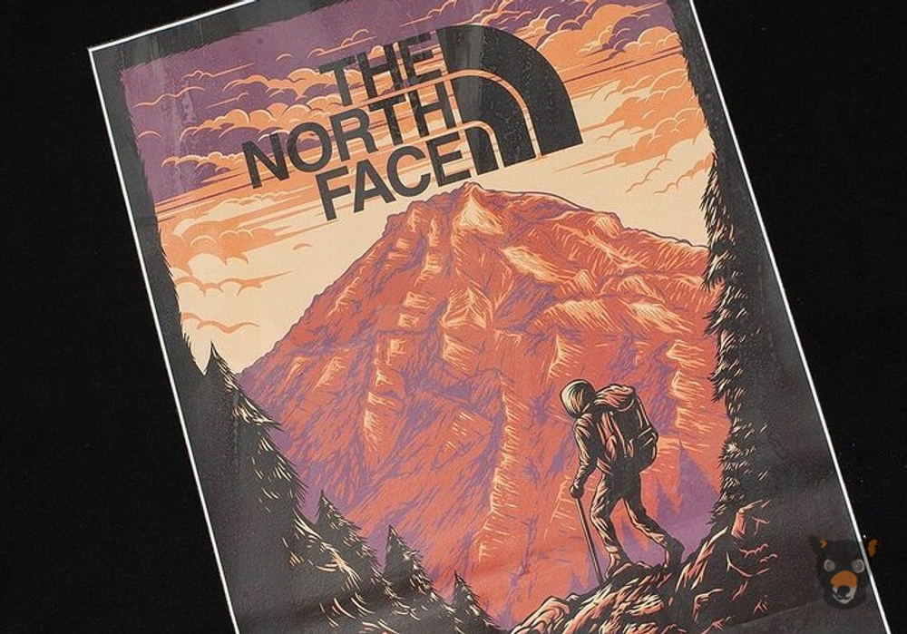 Футболка The North Face