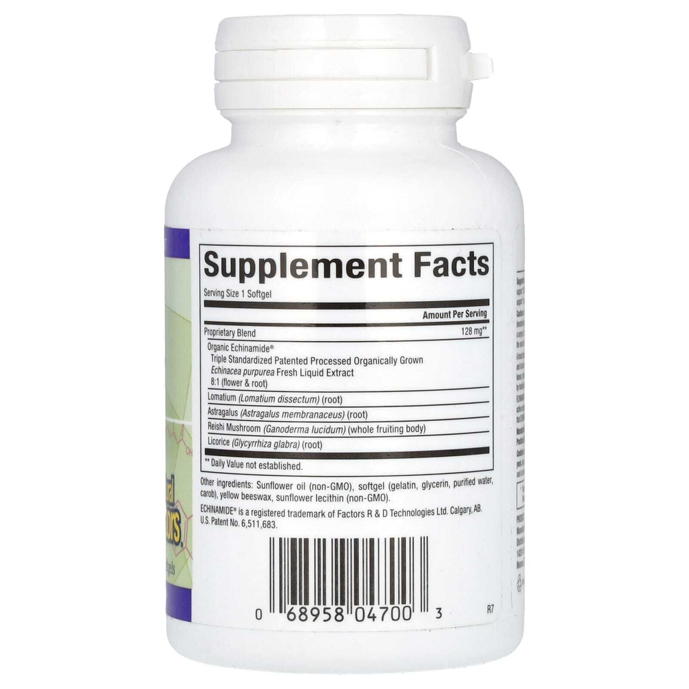 Natural Factors, Anti-V Formula, с клинически подтвержденным эхинамидом, 60 капсул