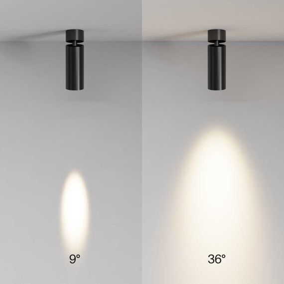Потолочный светильник Maytoni Technical C055CL-L12W2.7K-SS-B