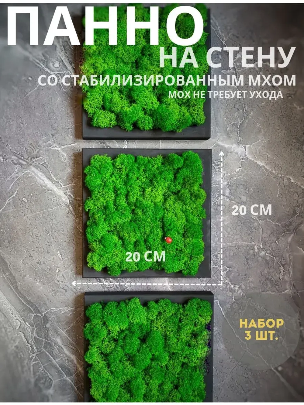 Панно из мха набор 3 шт.