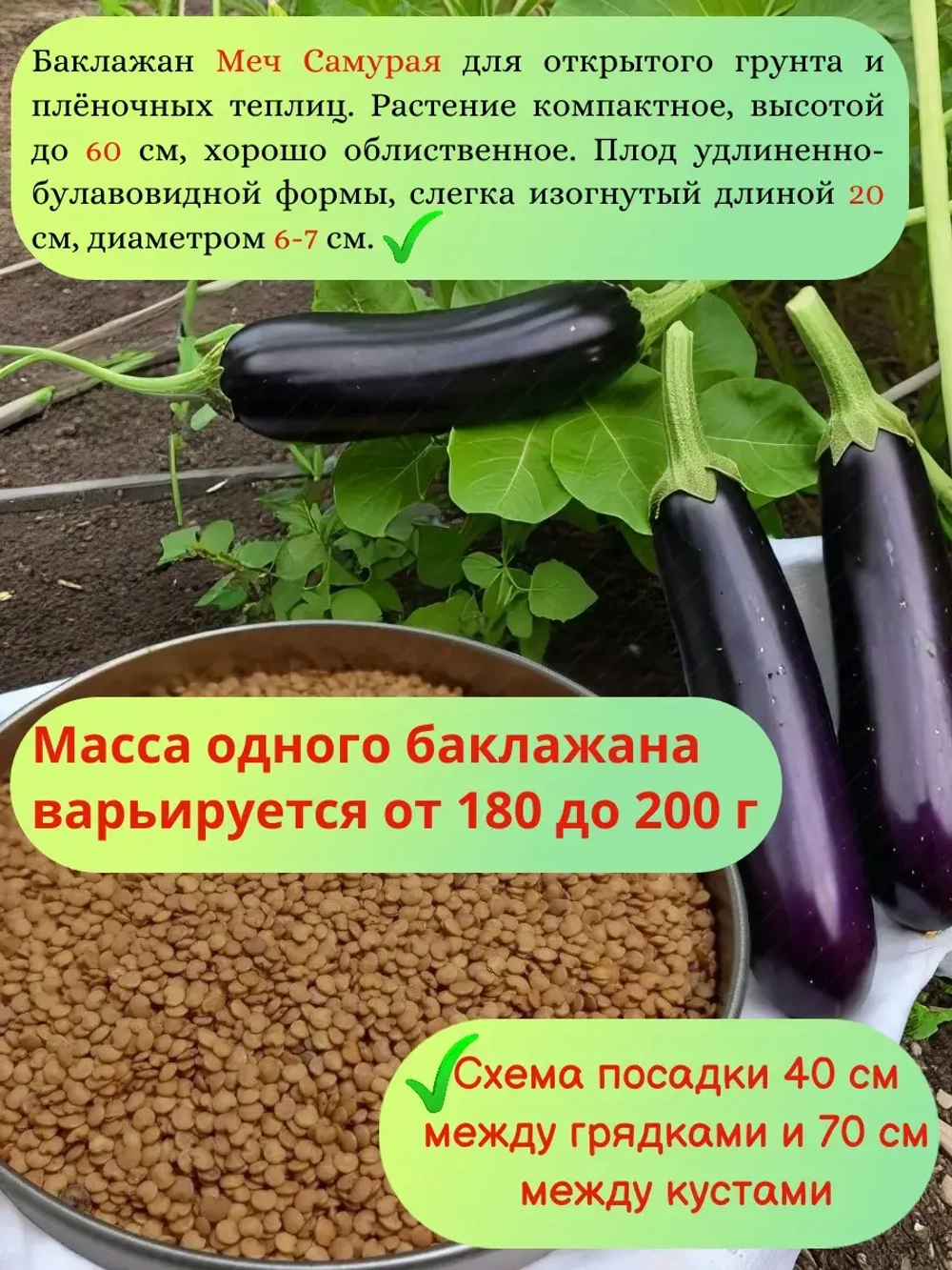 Семена Баклажан набор