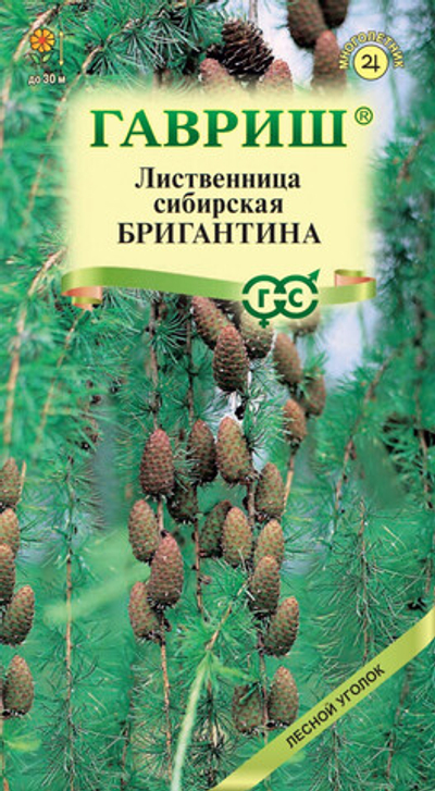 Лиственница сибирская Бригантина 0,2г Гавриш