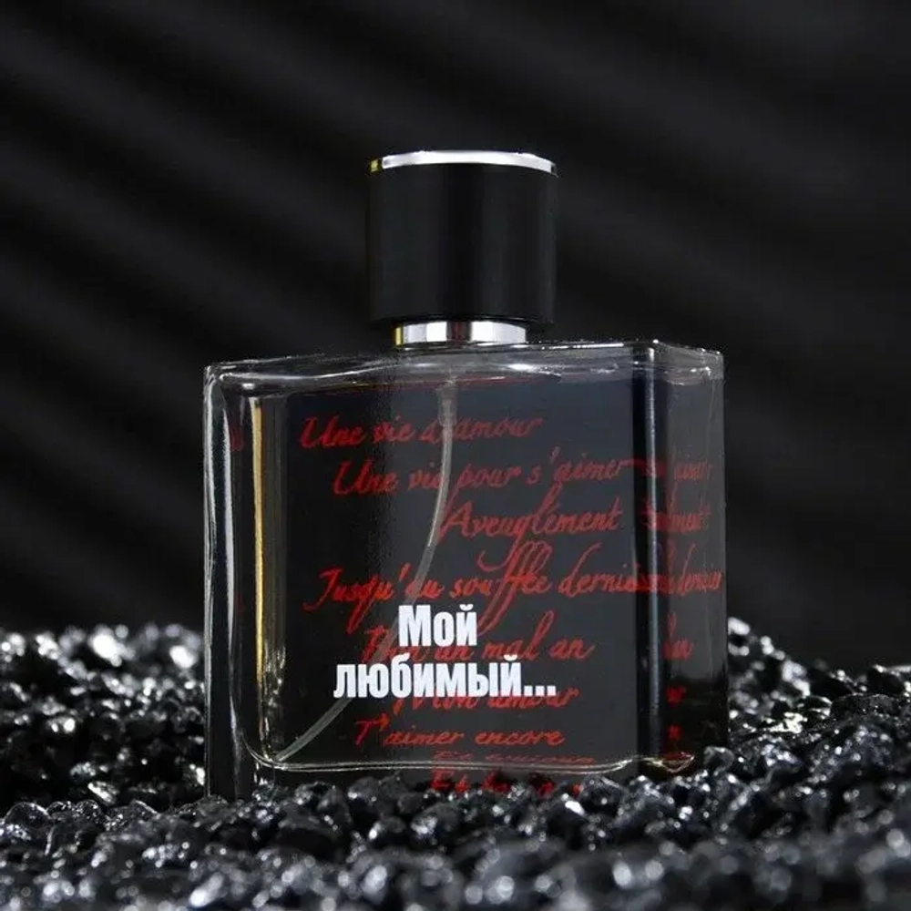 Парфюмерная вода для мужчин "МОЙ ЛЮБИМЫЙ" 100мл Россия