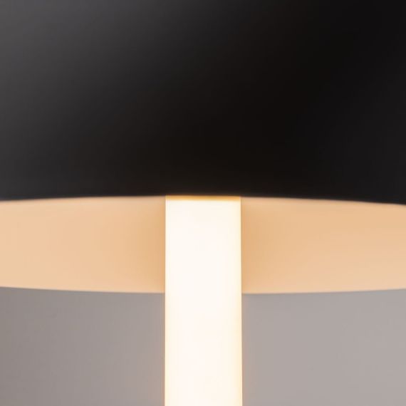 Настольная лампа Maytoni Ray Z012TL-L8B3K