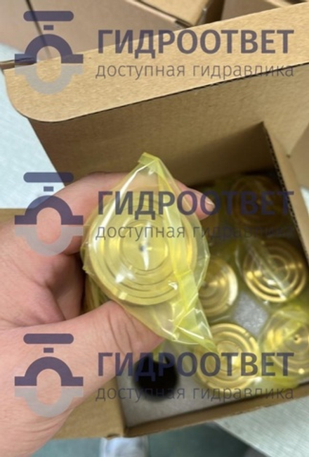 A2FM200 RING FOR PISTON SHOE  - Кольцо поршневого башмака