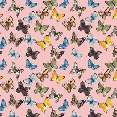 Русские бабочки на розовом фоне