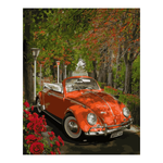 Картина по номерам 40*50см "Оранжевый любимец" (на подрам.) (Lori)