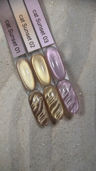 Sunset cat 02 color gel Iperfect 10g