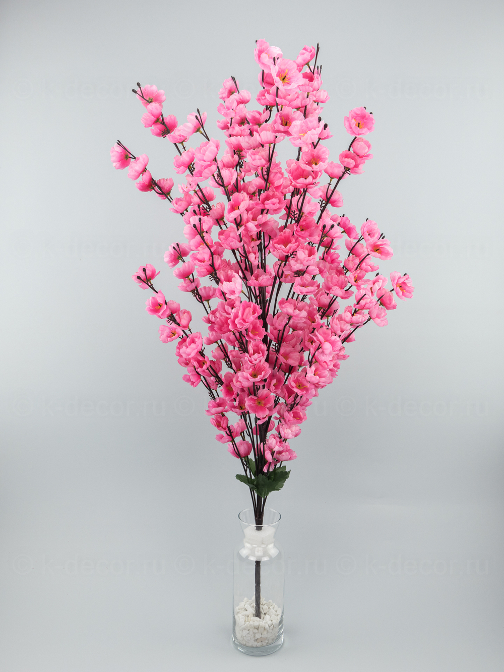 Сакура гигант розовая
