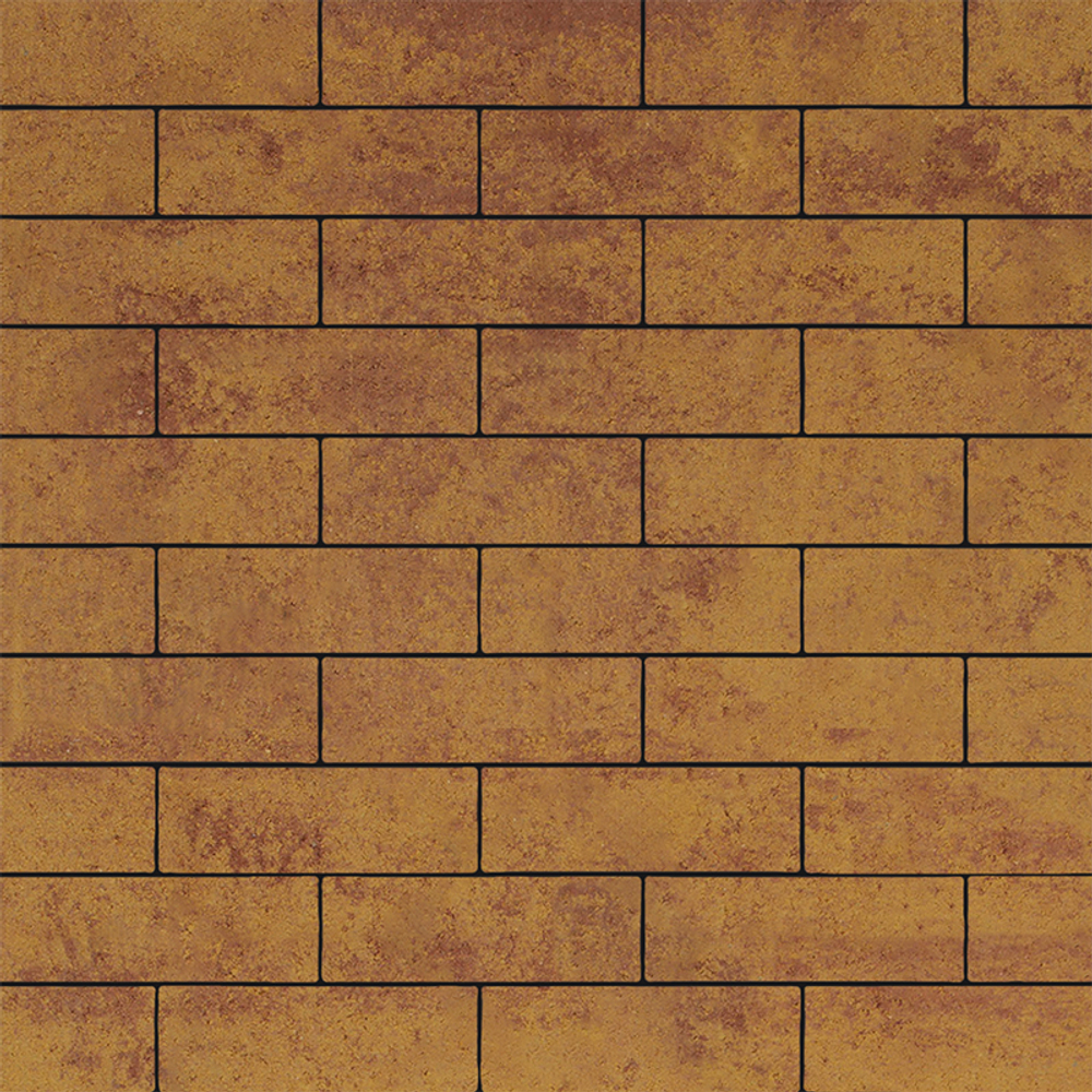 Тротуарная плитка ПРЯМОУГОЛЬНИК 300х100 мм - Листопад гладкий Каир