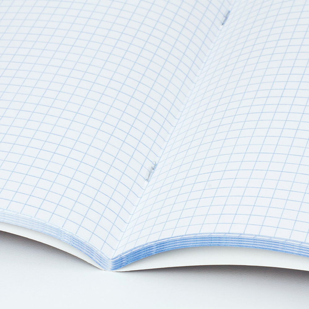 Тетрадь общая BRAUBERG "Inday", А4, 96 листов в клетку, на скрепке