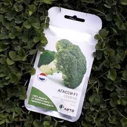 Семена капусты брокколи Агасси F1 , Rijk Zwaan