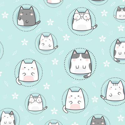 котики