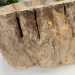 Раковина из окаменелого дерева OD-62488 54*39*15