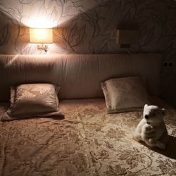 Citilux Декарт CL704303 Бра с бежевым абажуром и диммером