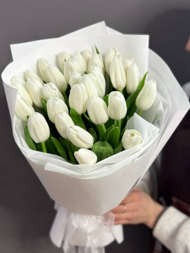 Монобукет из 31 белого тюльпана