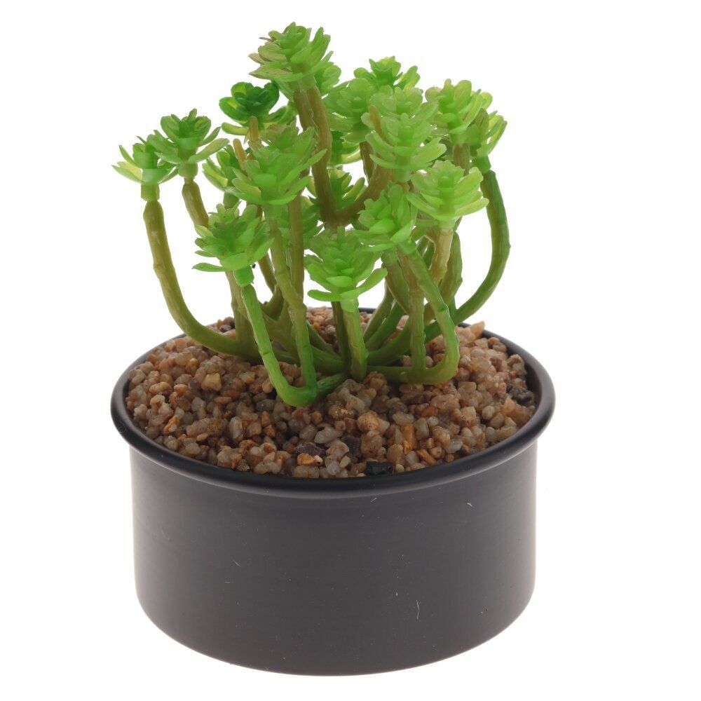 GAEM Цветочная композиция, L13 W13 H20 см