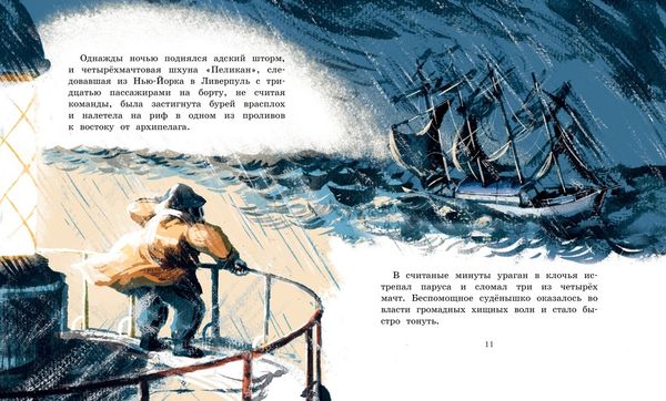 Хранитель острова Паффин. Майкл Морпурго