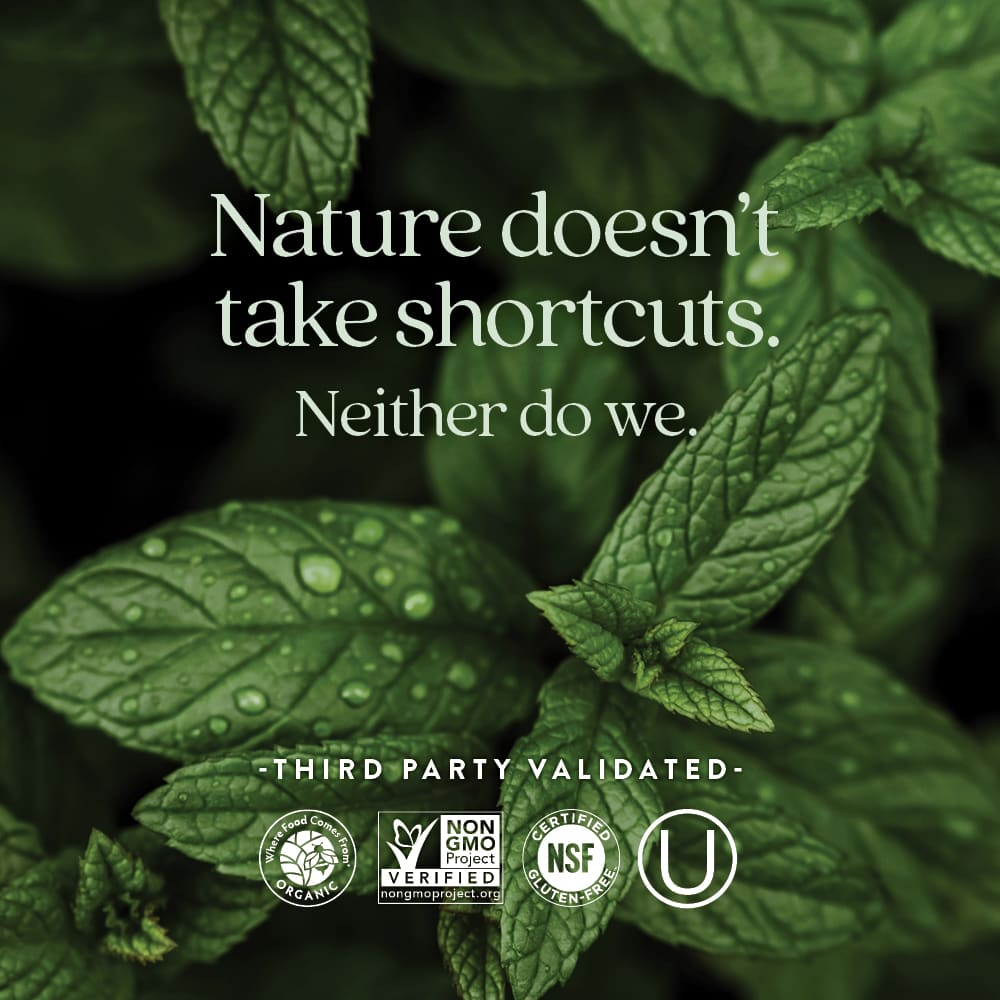 New Chapter, Комплекс ферментированного железа, 90 вегетарианских таблеток