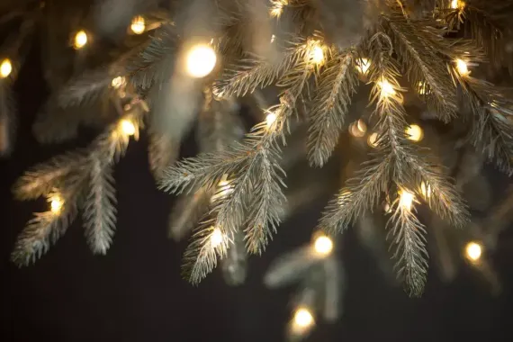 Ель Леара 230 см., 1100 LED ламп, Литая хвоя+ПВХ, серебристая, Black Box (74452)