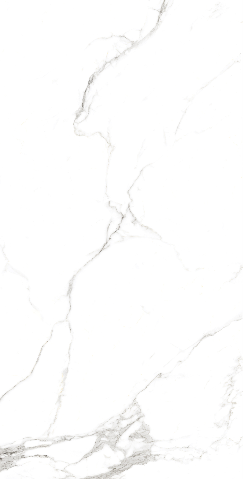 Керамогранит, Arcadia Ceramica, STATUARIO FINE, 1200x600 мм, полированная