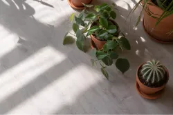 Vinilam Glue Дуб Ален, 4,16 м²