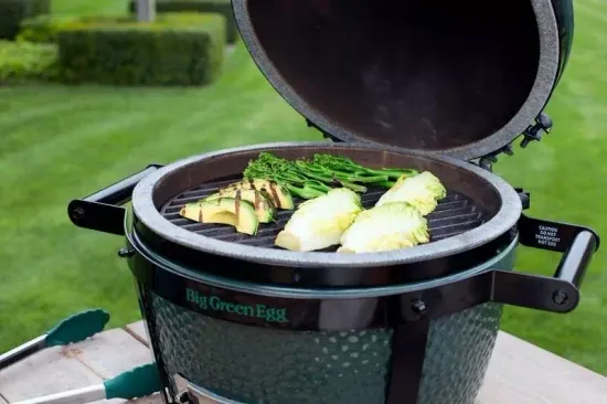 Гриль угольный Big Green Egg MiniMax Egg