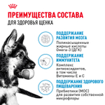 Royal Canin Maxi Puppy Влажный корм для щенков крупных пород в возрасте до 15 месяцев 100г
