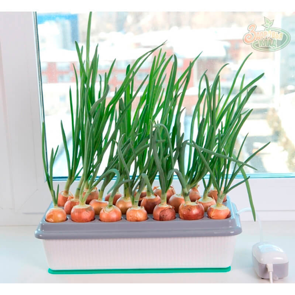 Чудо грядка двойная