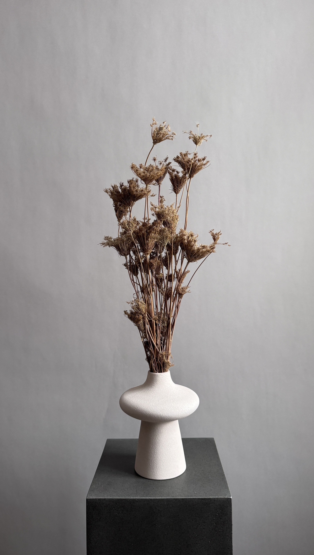 Фенхель натуральный