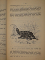 "Аквариум любителя. Подробное описание флоры и фауны аквариума, устройство аквариума, уход за ним и пр.". Н.Ф.Золотницкий. 1890г.