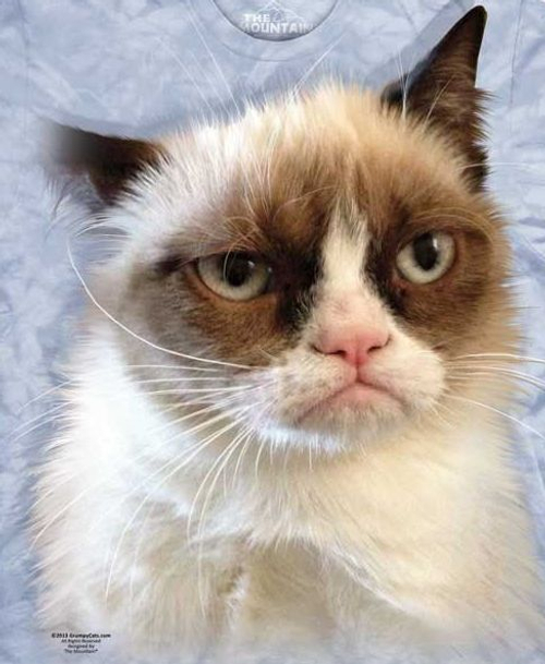 Футболка Mountain с изображением грустного котика - Grumpy In Blue
