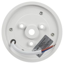 Светильник настенно-потолочный спот ЭРА OL49 WH GX53 IP20 белый