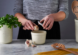Емкость для хранения чеснока с теркой innovative kitchen
