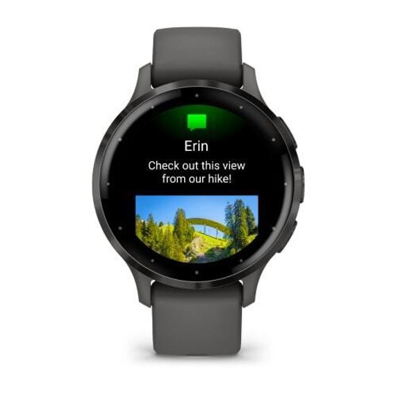 Умные часы Garmin Venu 3S серый с темно-серым безелем
