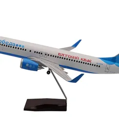 47cm B737-800 Pobeda