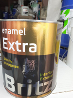 Краска Эмаль ПФ-115 (2.7кг). Салатовая.