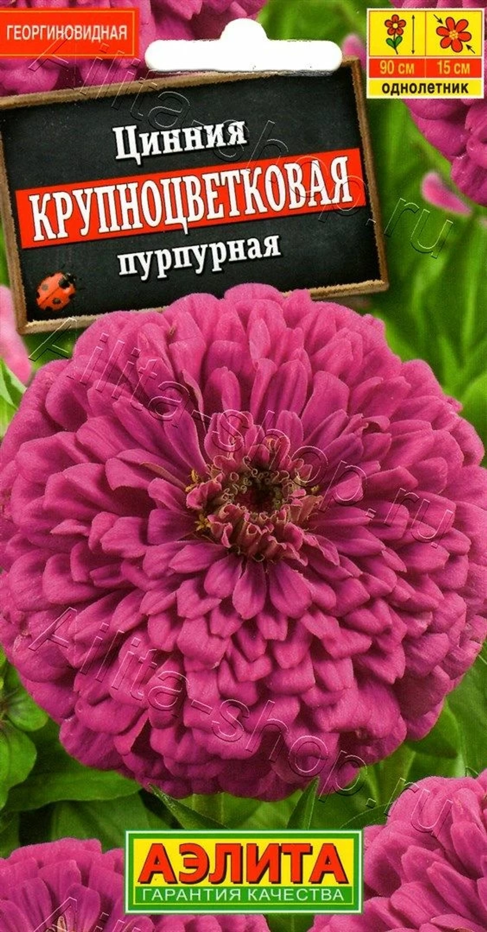 Цинния Крупноцветковая пурпурная 0,3г (Аэлита)