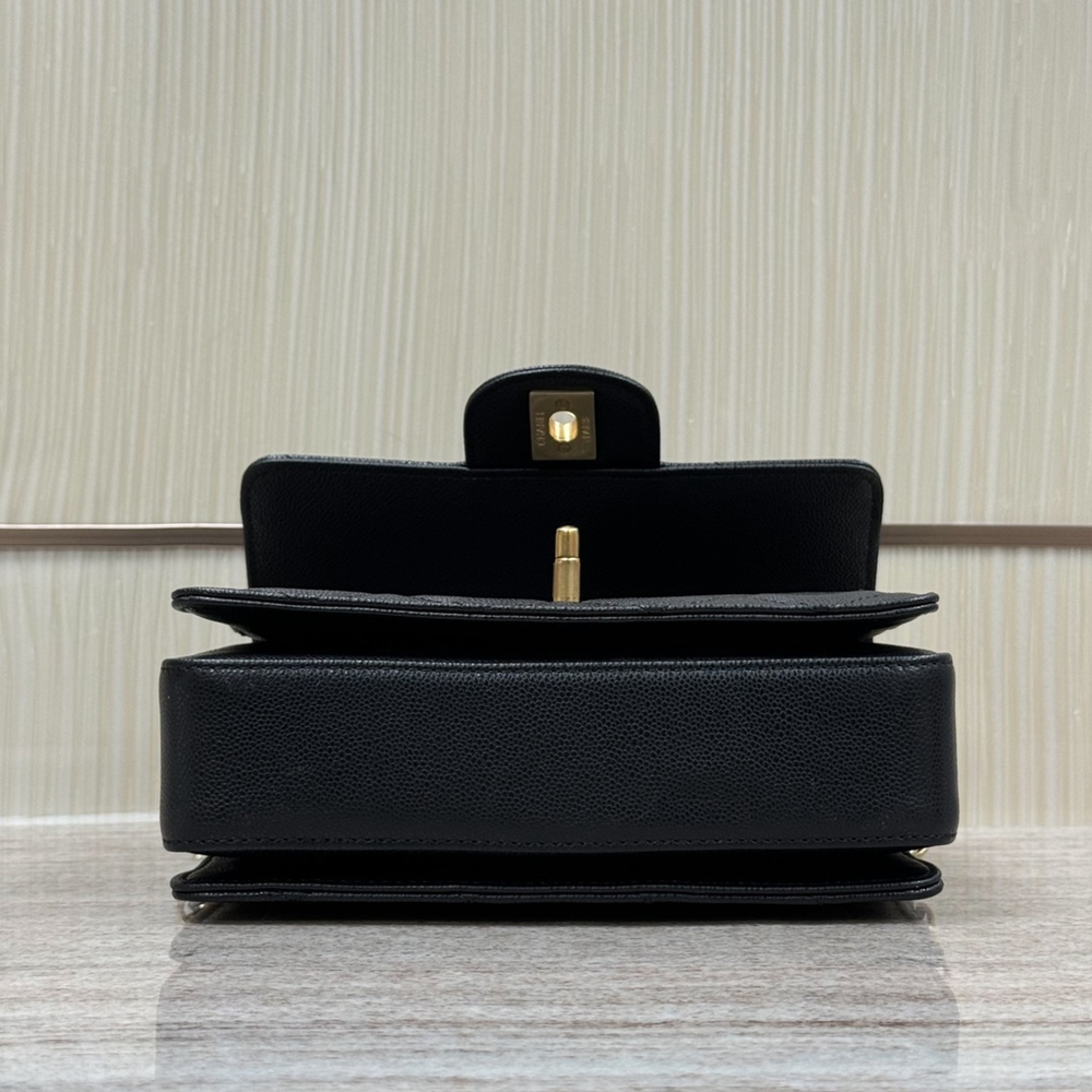 Chanel Bag 19 cm