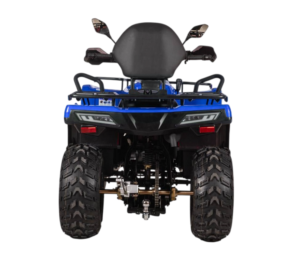 Квадрицикл Bizon YK250 BASIC CARB Синий