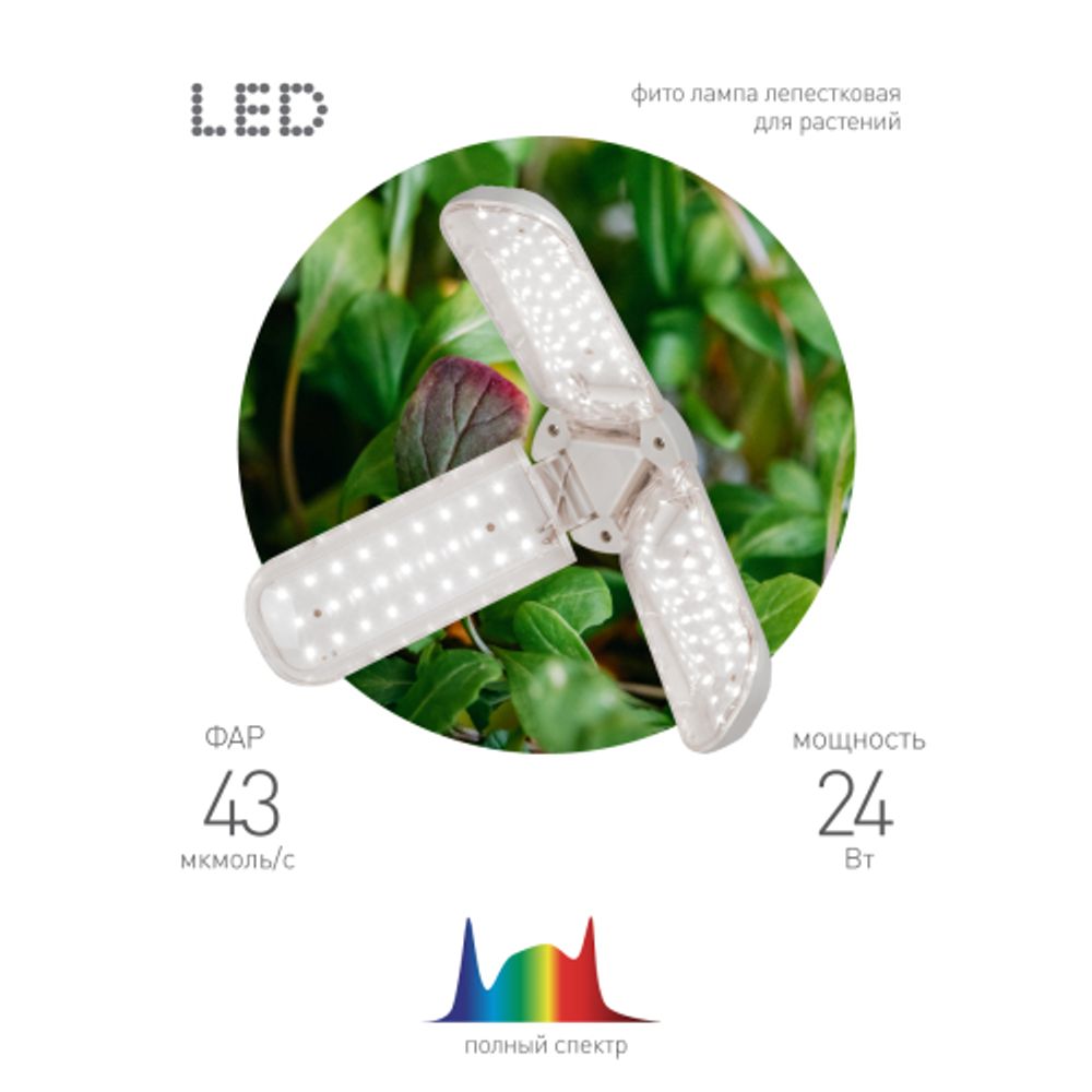Фитолампа для растений светодиодная ЭРА FITO-24W-Ra90-E27-FOLD 3-х лепестковая полного спектра 24 Вт Е27 | Фитолампы Е27
