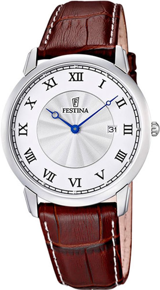 Мужские наручные часы Festina F6813/5