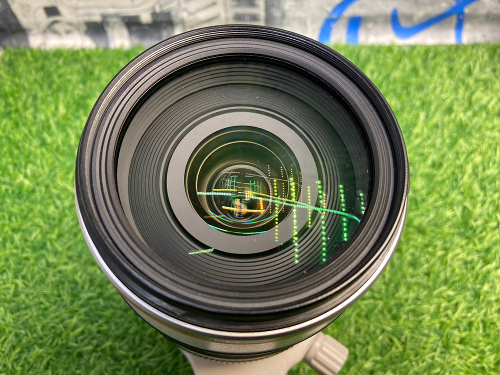 Canon EF 28-300mm 3.5-5.6L IS USM Покупка/Продажа