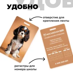 Карта Москвёнок DOGS №5 (проход + питание)